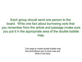 Each group should send one person to the  board.  Write one fact about burrowing owls that  you remember from the article and passage (make sure you put it in the appropriate area of the double bubble map. Turn page to create double bubble map Use promethean pen to draw map and  Write in the facts. 