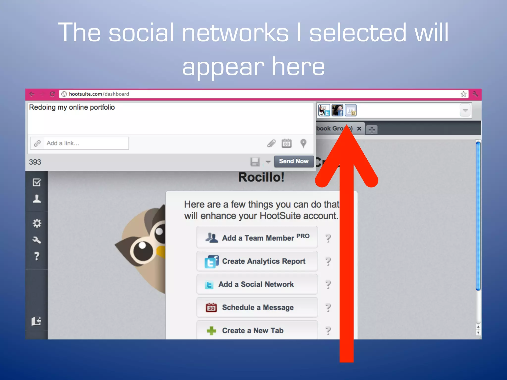 The social networks I selected will
           appear here
 