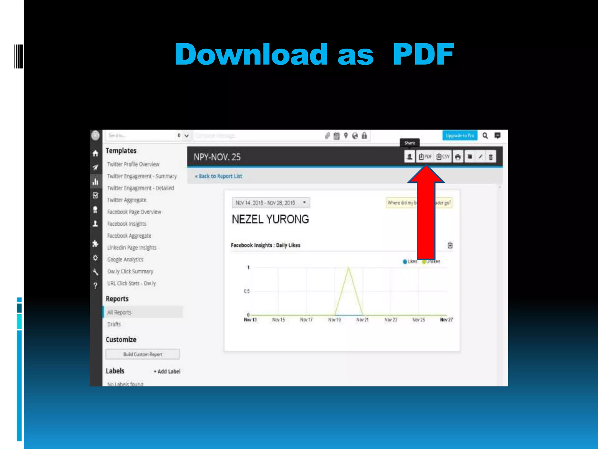 Download as PDF
 