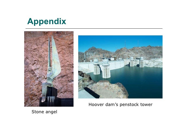 Hoover dam and the negative effects on environment