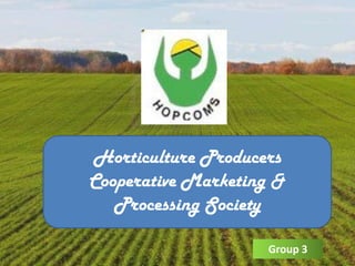 Horticulture Producers
Cooperative Marketing &
   Processing Society

                    Group 3
 