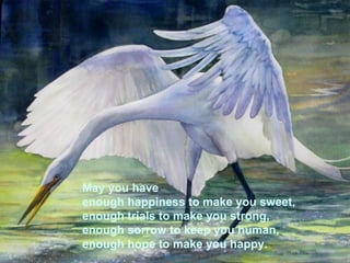 May you have  enough happiness to make you sweet,  enough trials to make you strong,  enough sorrow to keep you human,  enough hope to make you happy.  