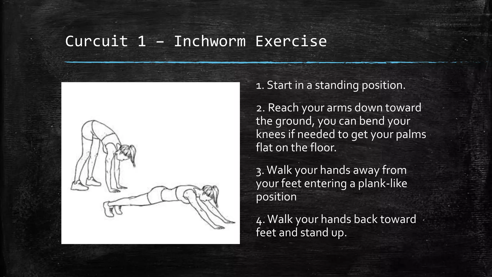 Curcuit 1 – Inchworm Exercise
1. Start in a standing position.
2. Reach your arms down toward
the ground, you can bend your
knees if needed to get your palms
flat on the floor.
3.Walk your hands away from
your feet entering a plank-like
position
4.Walk your hands back toward
feet and stand up.
 