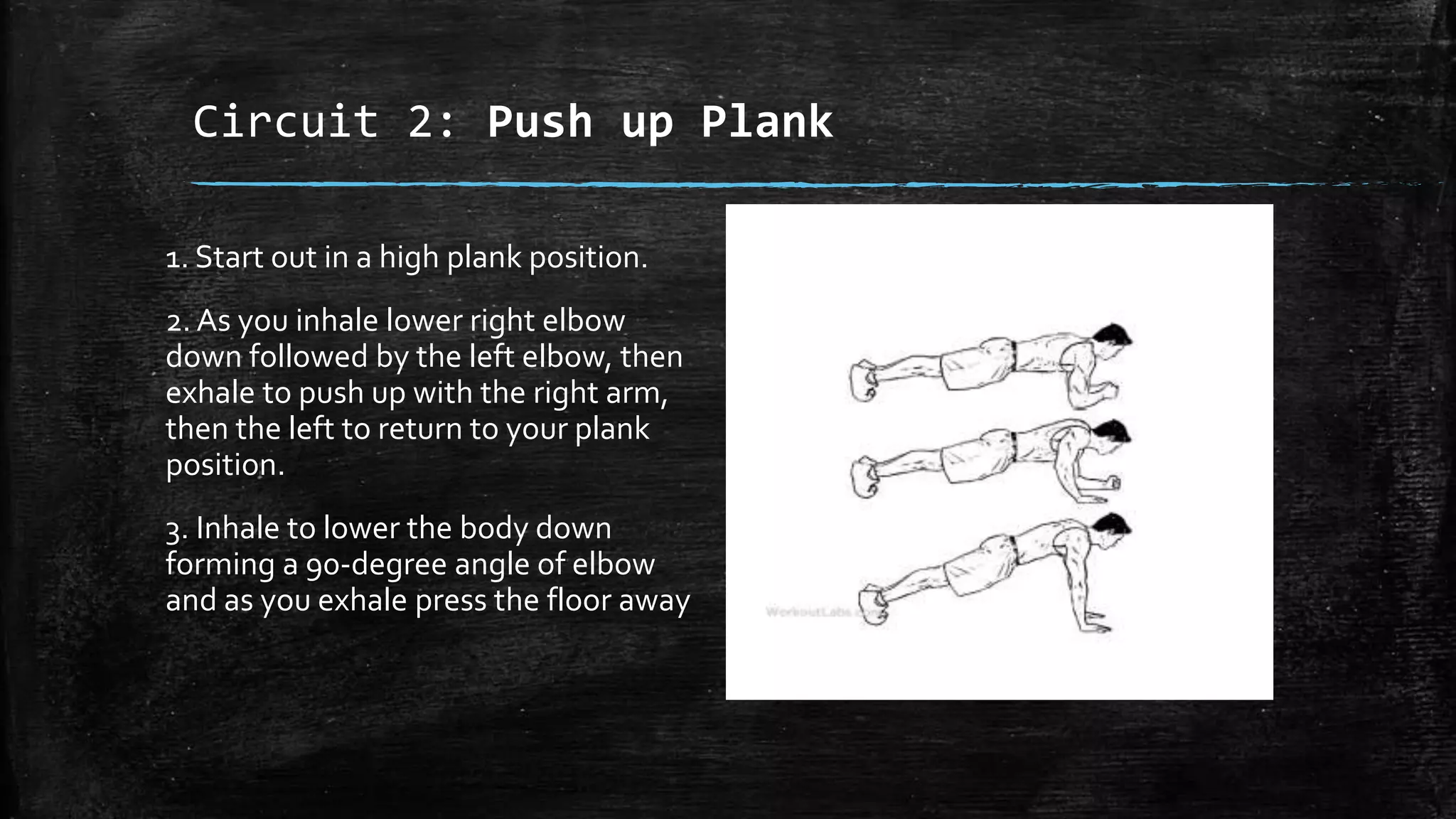 Circuit 2: Push up Plank
1. Start out in a high plank position.
2. As you inhale lower right elbow
down followed by the left elbow, then
exhale to push up with the right arm,
then the left to return to your plank
position.
3. Inhale to lower the body down
forming a 90-degree angle of elbow
and as you exhale press the floor away
 