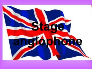Stage anglophone 