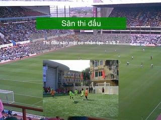 Thi đấu sân mặt cỏ nhân tạo  7 VS 7 Sân thi đấu 