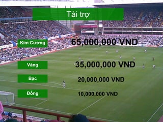 Kim Cương Tài trợ Đồng Bạc Vàng 65,000,000 VND 35,000,000 VND 20,000,000 VND 10,000,000 VND 