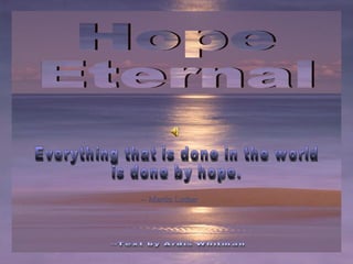 Copyright © 2007 Tommy's Window. All Rights Reserved ♫  Turn on your speakers! CLICK TO ADVANCE SLIDES Tommy's Window Slideshow Everything that is done in the world  is done by hope. Hope Eternal -- Martin Luther --Text by Ardis Whitman 