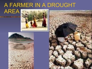 A FARMER IN A DROUGHT AREA 