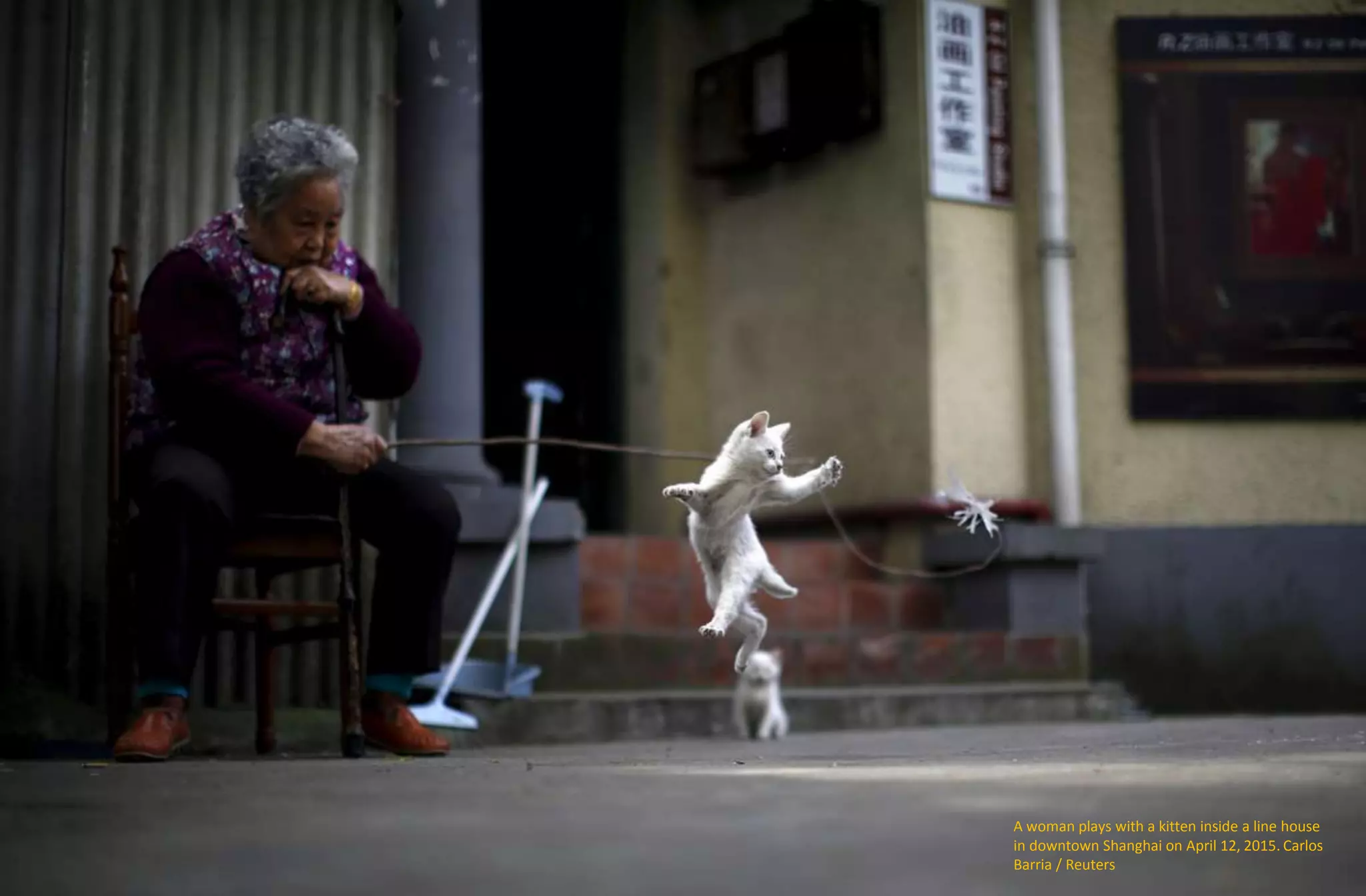 A woman plays with a kitten inside a line house
in downtown Shanghai on April 12, 2015. Carlos
Barria / Reuters
 