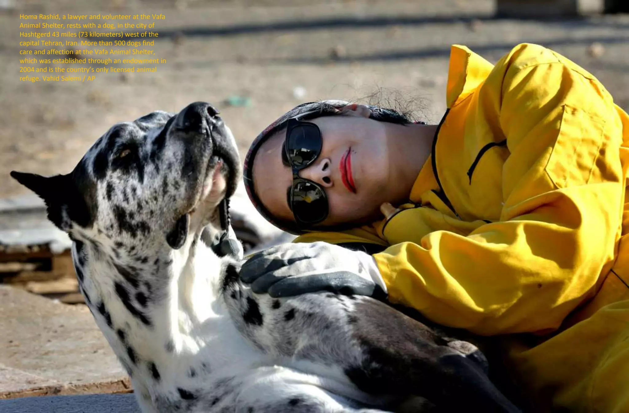 Homa Rashid, a lawyer and volunteer at the Vafa
Animal Shelter, rests with a dog, in the city of
Hashtgerd 43 miles (73 kilometers) west of the
capital Tehran, Iran. More than 500 dogs find
care and affection at the Vafa Animal Shelter,
which was established through an endowment in
2004 and is the country’s only licensed animal
refuge. Vahid Salemi / AP
 