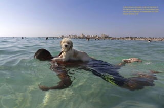 A dog named Lucky gets a ride on the back of
his owner near the beach in the southern port
city of Tyre, Lebanon, on September 20, 2015.
Hassan Ammar / AP
 