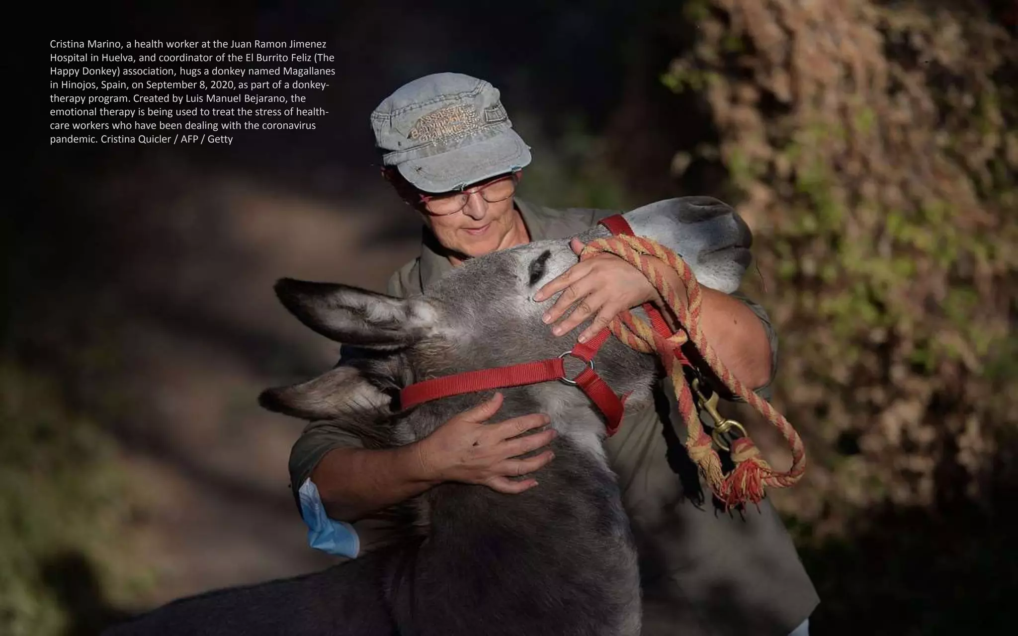 Cristina Marino, a health worker at the Juan Ramon Jimenez
Hospital in Huelva, and coordinator of the El Burrito Feliz (The
Happy Donkey) association, hugs a donkey named Magallanes
in Hinojos, Spain, on September 8, 2020, as part of a donkey-
therapy program. Created by Luis Manuel Bejarano, the
emotional therapy is being used to treat the stress of health-
care workers who have been dealing with the coronavirus
pandemic. Cristina Quicler / AFP / Getty
 
