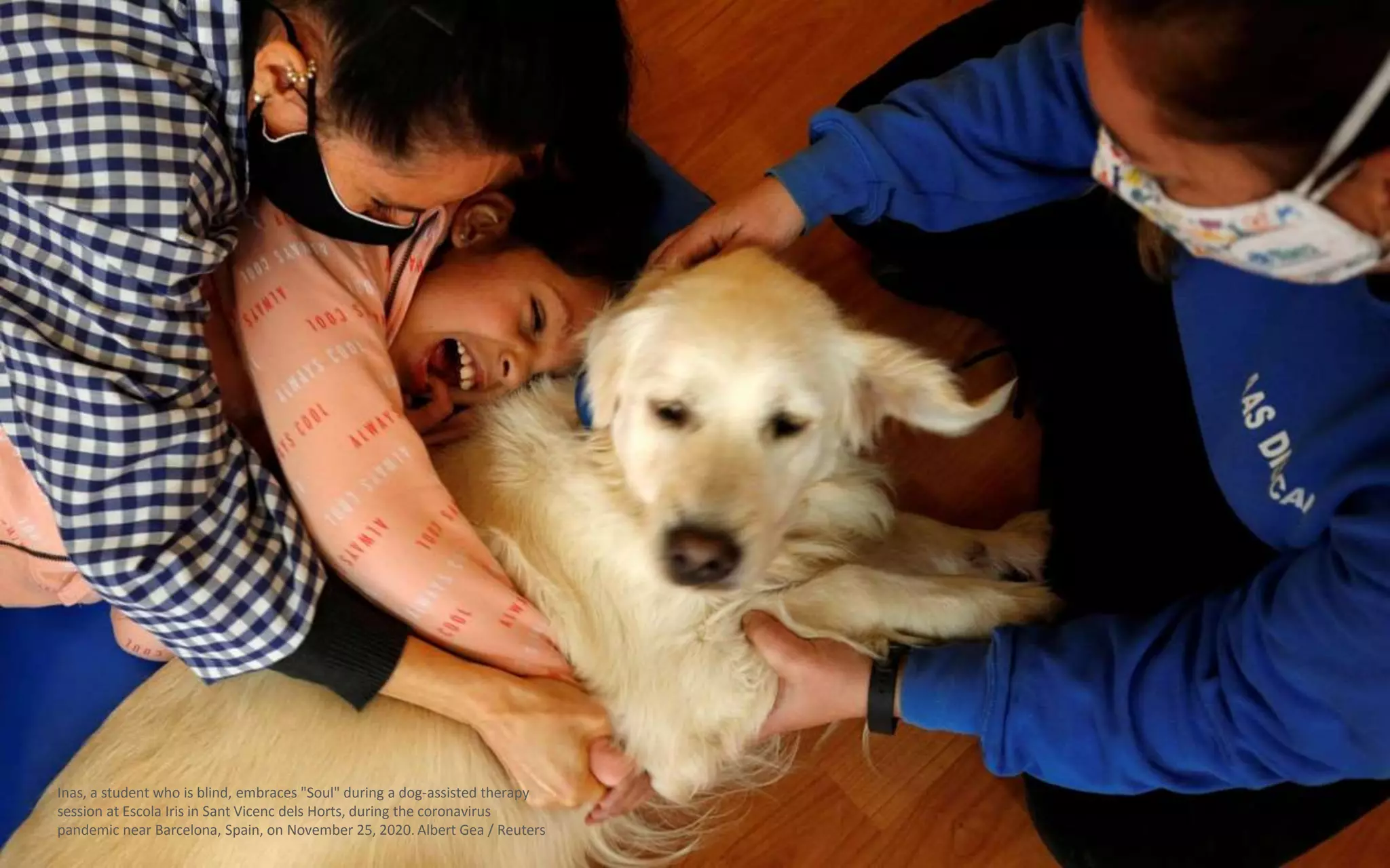 Inas, a student who is blind, embraces "Soul" during a dog-assisted therapy
session at Escola Iris in Sant Vicenc dels Horts, during the coronavirus
pandemic near Barcelona, Spain, on November 25, 2020. Albert Gea / Reuters
 