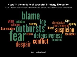 Hope in the middle of stressful Strategy Execution
“You’re a little loopy when you’re hungry.” Working at the limits of change capacity” blog post on www.gailseverini.com
Can you find hope?
 