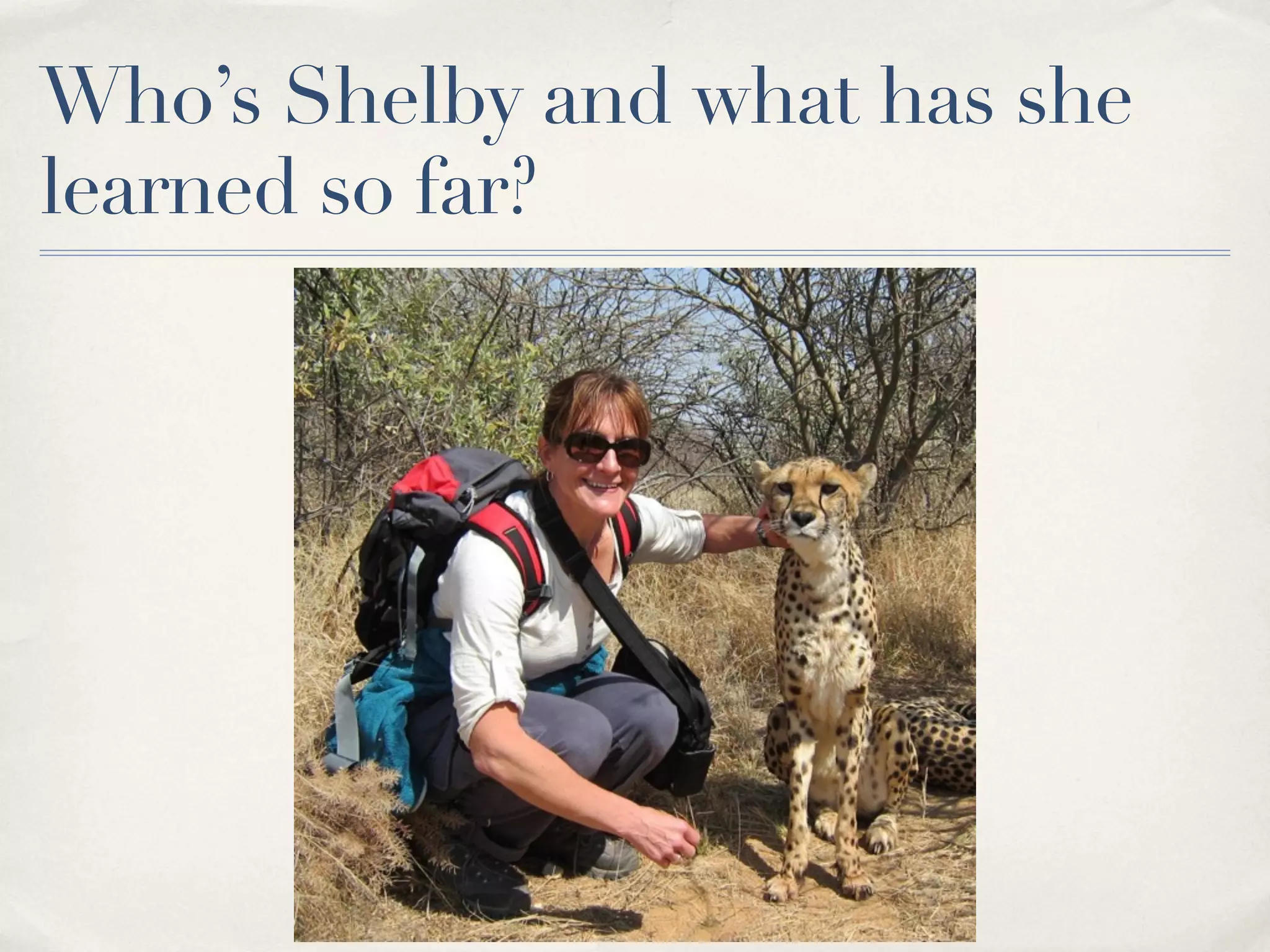 Who’s Shelby and what has she
learned so far?
 