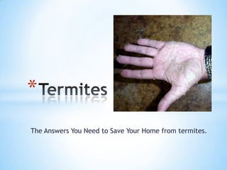 *
The Answers You Need to Save Your Home from termites.
 