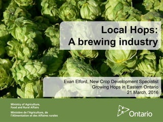 Local Hops:
A brewing industry
Evan Elford, New Crop Development Specialist
Growing Hops in Eastern Ontario
21 March, 2016
 