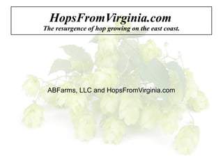 HopsFromVirginia.com
The resurgence of hop growing on the east coast.
ABFarms, LLC and HopsFromVirginia.com
 