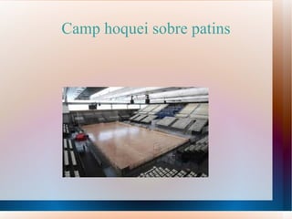 Camp hoquei sobre patins 