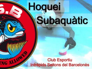Hoquei
 Subaquàtic


          Club Esportiu
Intrèpids Seitons del Barcelonès
 