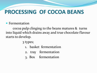 PROCESSING OF COCOA BEANS
 Fermentation
cocoa pulp clinging to the beans matures & turns
into liquid which drains away and true chocolate flavour
starts to develop.
3 types;
1. basket fermentation
2. tray fermentation
3. Box fermentation
 