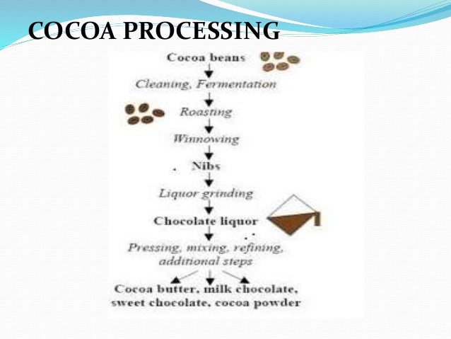 cocoa processing