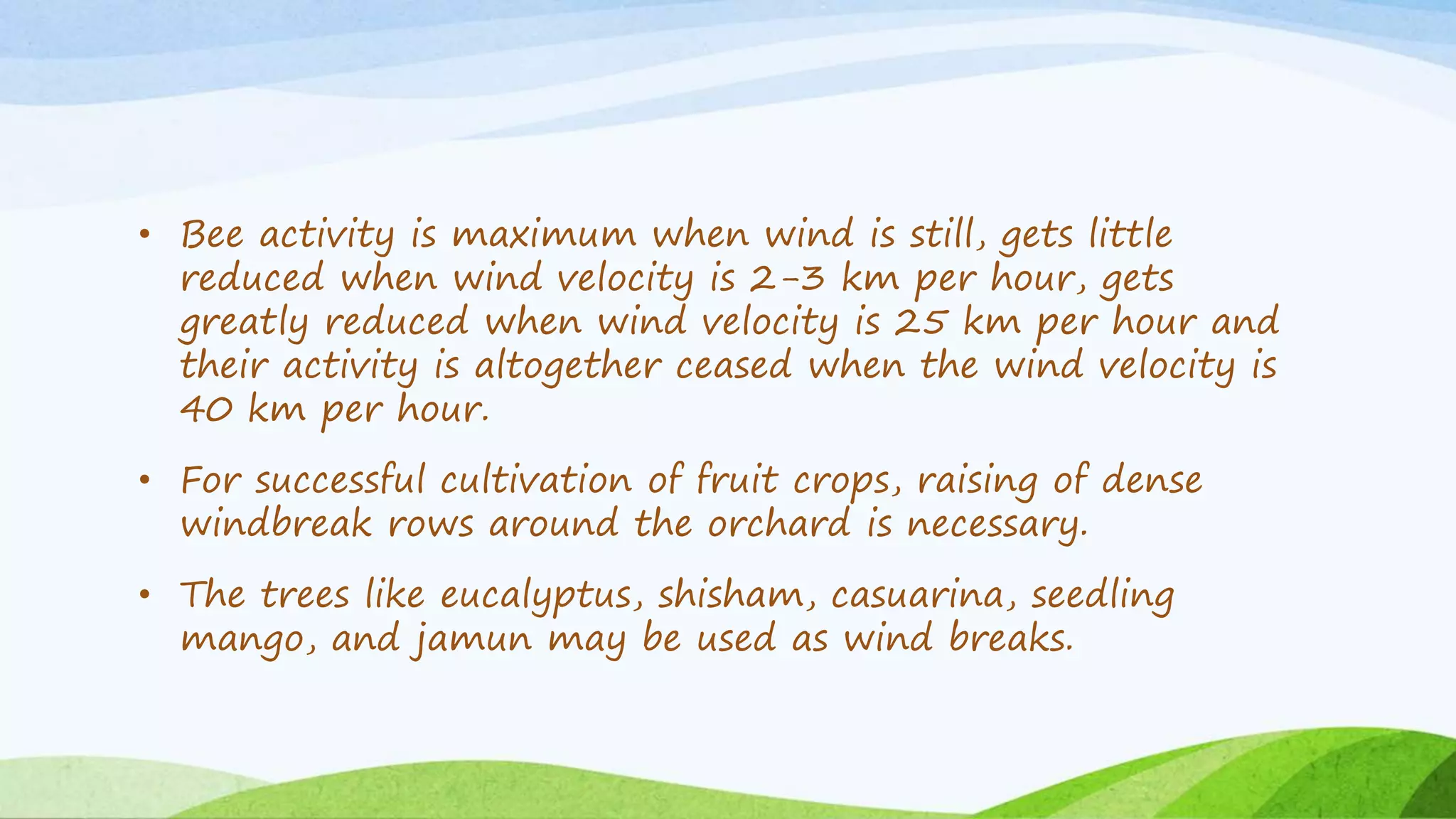 • Bee activity is maximum when wind is still, gets little
reduced when wind velocity is 2-3 km per hour, gets
greatly reduced when wind velocity is 25 km per hour and
their activity is altogether ceased when the wind velocity is
40 km per hour.
• For successful cultivation of fruit crops, raising of dense
windbreak rows around the orchard is necessary.
• The trees like eucalyptus, shisham, casuarina, seedling
mango, and jamun may be used as wind breaks.
 