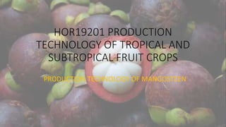 HOR19201 PRODUCTION
TECHNOLOGY OF TROPICAL AND
SUBTROPICAL FRUIT CROPS
PRODUCTION TECHNOLOGY OF MANGOSTEEN
 