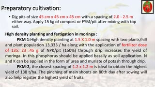 Preparatory cultivation:
• Dig pits of size 45 cm x 45 cm x 45 cm with a spacing of 2.0 - 2.5 m
either way. Apply 15 kg of compost or FYM/pit after mixing with top
soil.
High density planting and fertigation in moringa :
PKM 1:High density planting at 1.5 X 1.0 m spacing with two plants/hill
and plant population 13,333 / ha along with the application of fertilizer dose
of 135: 23 :45 g of NPK/pit (150%) through drip increases the yield of
moringa. In this phosphorus should be applied basally as soil application. N
and K can be applied in the form of urea and muriate of potash through drip.
PKM-2, the closest spacing of 1.2 x 1.2 m is ideal to obtain the highest
yield of 138 t/ha. The pinching of main shoots on 80th day after sowing will
also help register the highest yield of fruits.
 