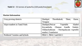 Yield:50 - 55 tonnes of pods/ha (220 pods/tree/year)
 