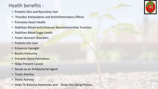 Health benefits :
• Protects Skin and Nourishes Hair
• Provides Antioxidants and AntiInflammatory Effects
• Promotes Heart Health
• Stabilizes Mood and Enhances Neurotransmitter Function
• Stabilizes Blood Sugar Levels
• Treats Stomach Disorders
• Protects the Liver
• Enhances Eyesight
• Boosts Immunity
• Prevents Stone Formation
• Helps Prevent Cancer
• Serves as an Antibacterial Agent
• Treats Anemia
• Treats Asthma
• Helps To Balance Hormones and Slows the Aging Process
 
