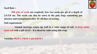 Seed Rate :
500 g/ha of seeds are required. Sow two seeds per pit at a depth of
2.5-3.0 cm. The seeds can also be sown in the poly bags containing pot
mixture and transplanted after 35 -40 days of sowing.
Soil requirement:
Annual moringa comes up well in a wide range of soil. A deep sandy
loam soil with a pH of 6.5 – 8 is ideal for cultivating this crop.
Varieties PKM 1, PKM 2 and KKM 1
 