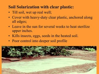 Soil Solarization with clear plastic:
• Till soil, wet up real well;
• Cover with heavy-duty clear plastic, anchored along
all edges;
• Leave in the sun for several weeks to heat sterilize
upper inches.
• Kills insects, eggs, seeds in the heated soil.
• Poor control into deeper soil profile
 