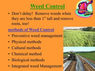 Weed Control
• Don’t delay! Remove weeds when
they are less than 1” tall and remove
roots, too!
methods of Weed Control
• Preventive weed management
• Physical methods
• Cultural methods
• Chemical method
• Biological methods
• Integrated weed Management
 