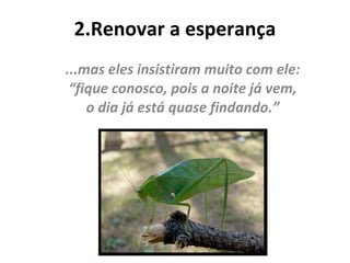 2.Renovar a esperança ...mas eles insistiram muito com ele: “fique conosco, pois a noite já vem, o dia já está quase findando.” 