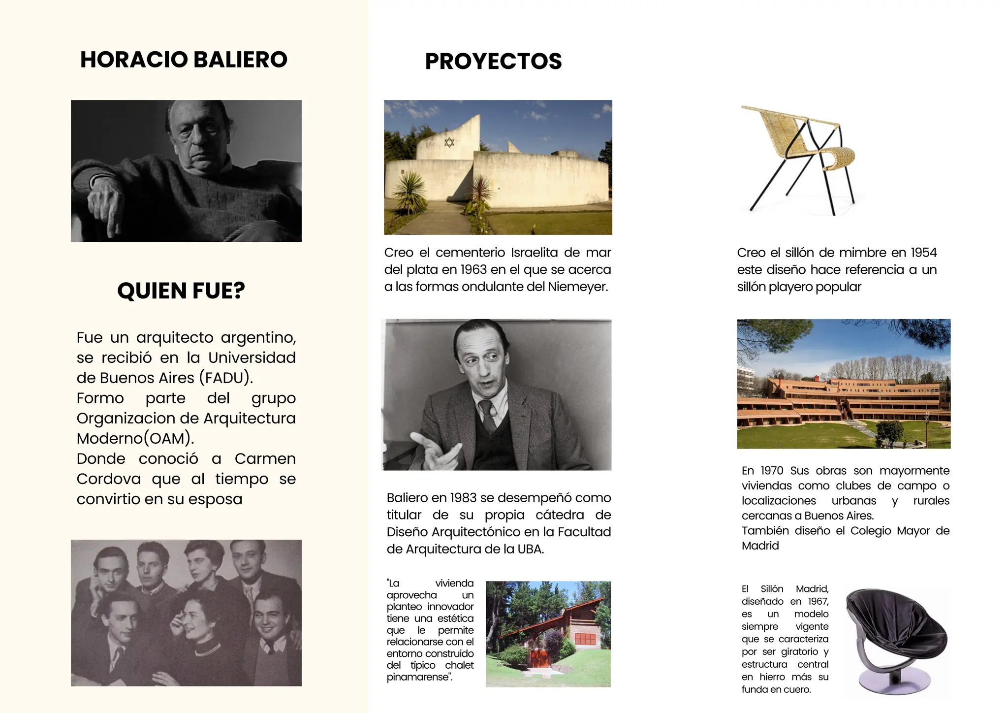 Horacio balieroo arte Proyectual 1………….. PPT