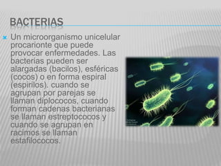 BACTERIAS
 Un microorganismo unicelular
procarionte que puede
provocar enfermedades. Las
bacterias pueden ser
alargadas (bacilos), esféricas
(cocos) o en forma espiral
(espirilos). cuando se
agrupan por parejas se
llaman diplococos, cuando
forman cadenas bacterianas
se llaman estreptococos y
cuando se agrupan en
racimos se llaman
estafilococos.
 