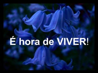 É hora de VIVER!
 