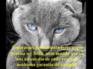 Esperamos demais para fazer o que
precisa ser feito, num mundo que só
  nos dá um dia de cada vez, sem
   nenhuma garantia do amanhã.
 