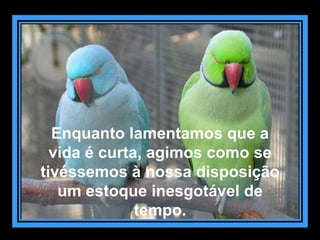 Enquanto lamentamos que a
  vida é curta, agimos como se
tivéssemos à nossa disposição
   um estoque inesgotável de
              tempo.
 