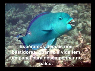 Esperamos demais nos
 bastidores, quando a vida tem
um papel para desempenhar no
             palco.
 