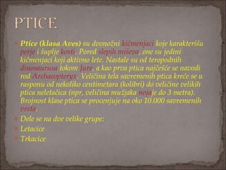 Ptice (klasa Aves) su dvonožni kičmenjaci koje karakterišu 
perje i šuplje kosti. Pored slepih miševa, one su jedini
kičmenjaci koji aktivno lete. Nastale su od teropodnih 
dinosaurusa tokom Jure, a kao prva ptica najčešće se navodi
rod Archaeopteryx. Veličina tela savremenih ptica kreće se u
rasponu od nekoliko centimetara (kolibri) do veličine velikih
ptica neletačica (npr, veličina mužjaka nojaje do 3 metra).
Brojnost klase ptica se procenjuje na oko 10.000 savremenih 
vrsta.
Dele se na dve velike grupe:
Letacice
Trkacice
 