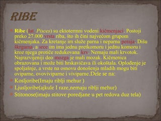 Ribe (lat. Pisces) su ektotermni vodeni kičmenjaci. Postoji 
preko 27.000 vrsta riba, što ih čini najvećom grupom 
kičmenjaka. Za kretanje im služe parna i neparna peraja. Dišu 
škrgama, a srce im ima jednu pretkomoru i jednu komoru i 
kroz njega protiče redukovana krv. Nemaju mali krvotok. 
Najrazvijeniji deo mozga je mali mozak. Kičmenica 
obrazovana i može biti hrskavičava ili okoštala. Oplođenje je 
spoljašnje, a vrste na osnovu donošenja mladih mogu biti 
oviparne, ovoviviparne i viviparne.Dele se na:
Kosljoribe(Imaju riblji mehur )
Ljusljoribe(ajkule I raze,nemaju riblji mehur)
Stitonose(imaju stitove poredjane u pet redova duz tela)
 
