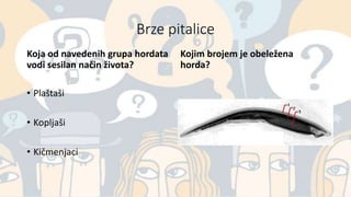 Brze pitalice
Koja od navedenih grupa hordata
vodi sesilan način života?
• Plaštaši
• Kopljaši
• Kičmenjaci
Kojim brojem je obeležena
horda?
 