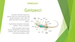 KIČMENJACI
Gmizavci
Gmizavci većinski stanovnici
kopna, iako ima vrsta koje dio svog
života provode u vodi. Naziv su
dobili po načinu kretanja jer oni
gmižu.
U gmizavce ubrajamo: kornjače,
gušteri, zmije i krokodili.
Imaju dva para udova (osim
zmija). Karakteriše ih plućni način
disanja, čak i one organizme koji
dio života provedu u vodi.
 