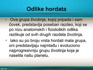 Odlike hordata
Ova grupa životinja, kojoj pripada i sam
čovek, predstavlja poseban razdeo, koji se
po nizu anatomskih i fizioloških odlika
razlikuje od svih drugih razdela životinja.
Iako su po broju vrsta hordati mala grupa,
oni predstavljaju najmlađu i evoluciono
najprogresivniju grupu životinja koja je
naselila našu planetu.
 
