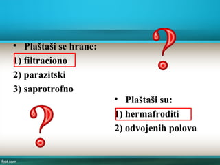 
Plaštaši se hrane:
1) filtraciono
2) parazitski
3) saprotrofno

Plaštaši su:
1) hermafroditi
2) odvojenih polova
 