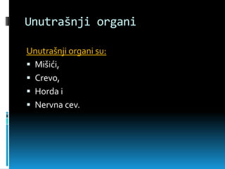 Unutrašnji organi

Unutrašnji organi su:
 Mišići,
 Crevo,
 Horda i
 Nervna cev.
 