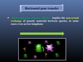 Horizantal gene transfer in evolution of nematodes | PPT